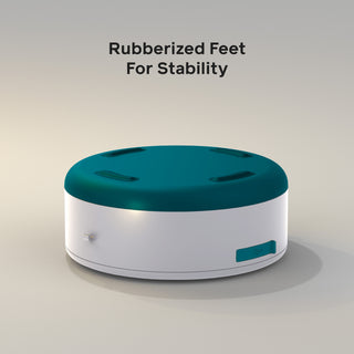 Solar String Lights: 44' in Color