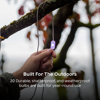 Solar String Lights: 44' in Color