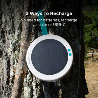 Solar String Lights: 44' in Color