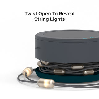 Solar String Lights: 44' in White