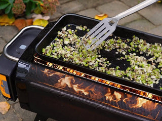 FirePit Griddle - BioLite